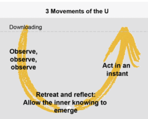 Theory U 3 movements