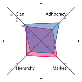 Organizational Culture Assessment Instrument