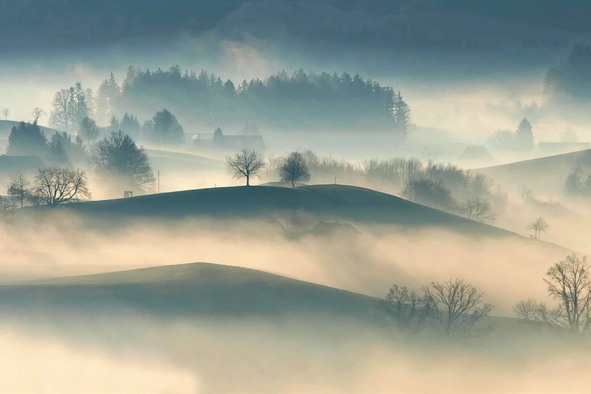 fog landscape